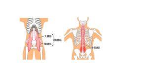 画像に alt 属性が指定されていません。ファイル名: 78692eb8438a92f7e11a516981ad7fad-1024x576.jpg